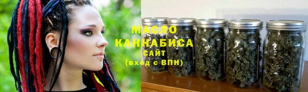 индика Михайловск