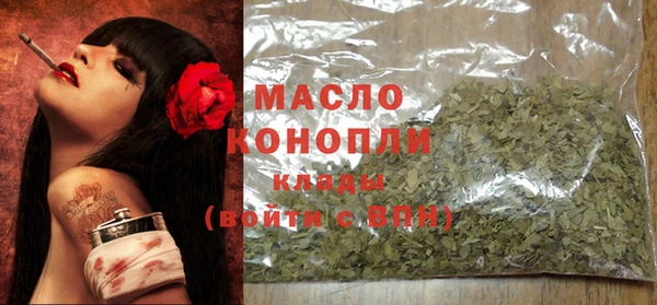 индика Михайловск