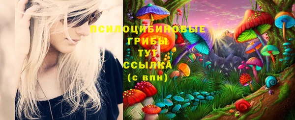 мяу мяу мука Абинск