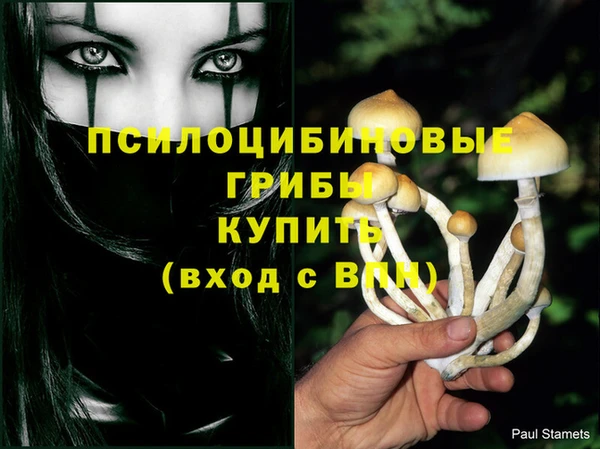 дмт Алексин