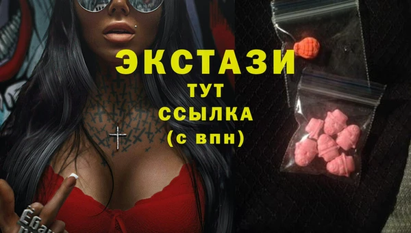 индика Михайловск