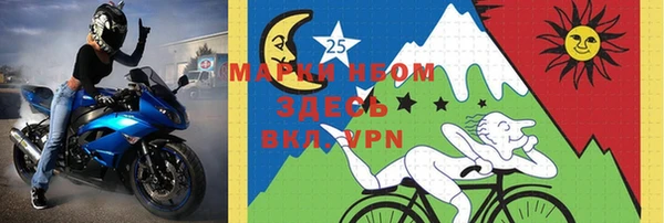 индика Михайловск